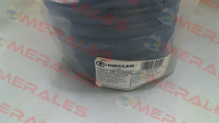 113417 / SP 12-250KSD Riegler