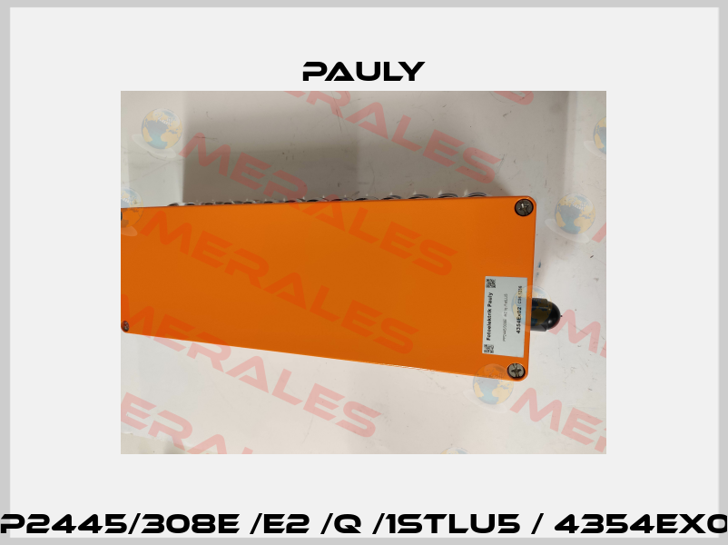 PP2445/308E /e2 /q /1stLU5 / 4354EX02 Pauly