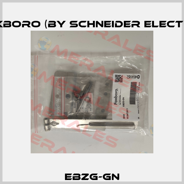 EBZG-GN Foxboro (by Schneider Electric)