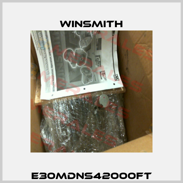 E30MDNS42000FT Winsmith