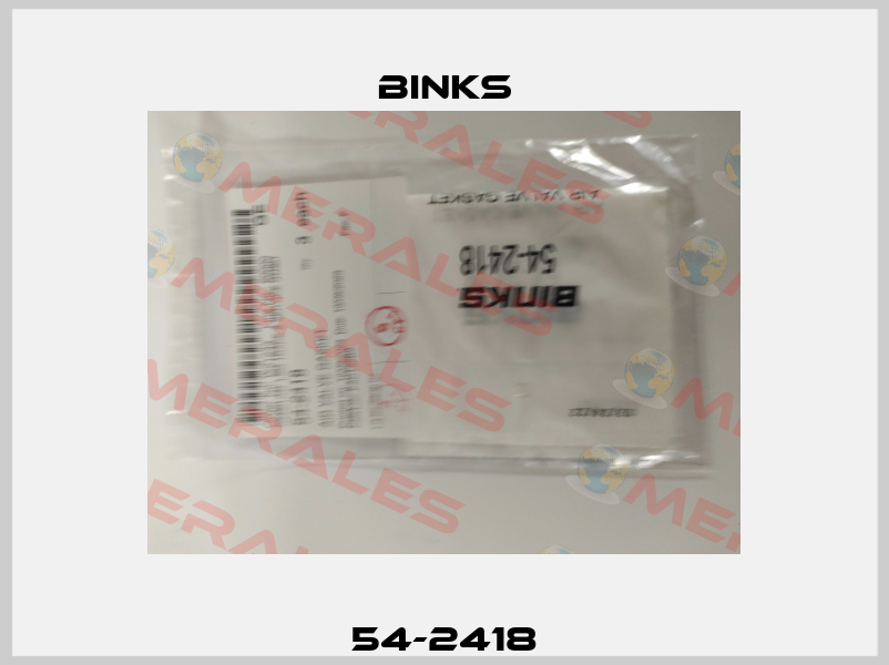 54-2418 Binks