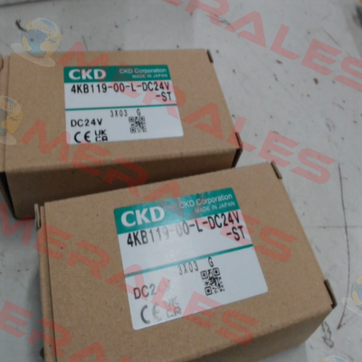 4KB119-00-L-DC24V Ckd