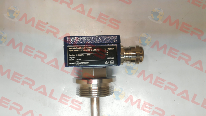 60-ARV1,5"-VU-L150/12-V44V-Ex KFG Level AG