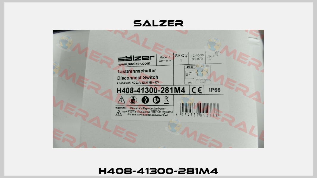 H408-41300-281M4 Salzer