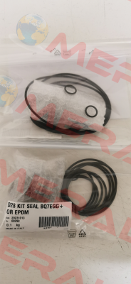 D28 BQ7EGG + OR EPDM (KL01AF7) Lowara