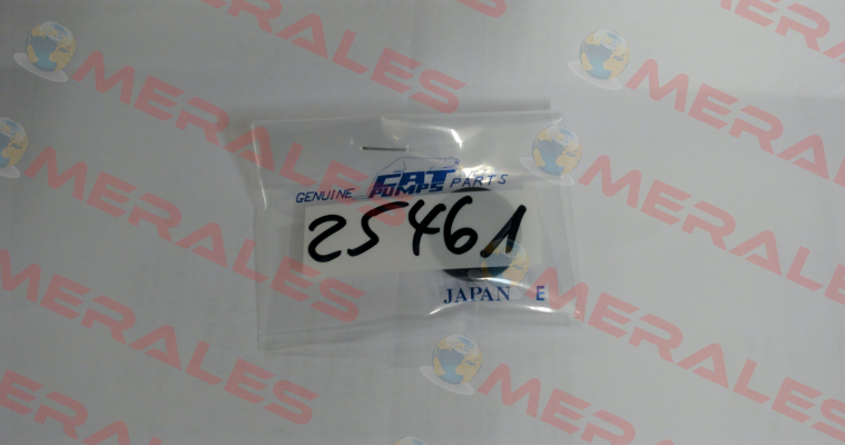 25461 - SEAL, OIL, NBR Cat Pumps